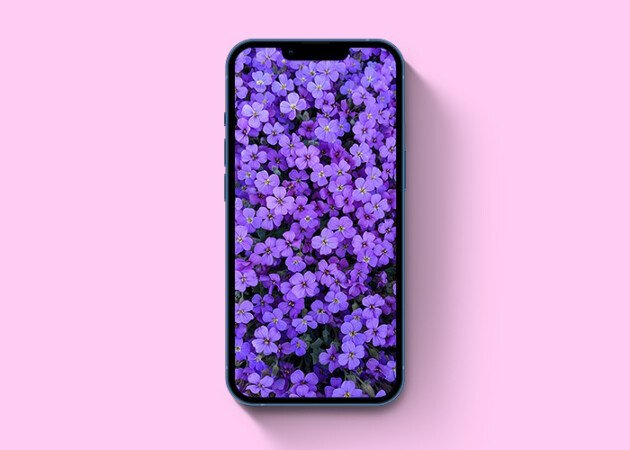 Hình nền hoa mùa xuân cho iPhone