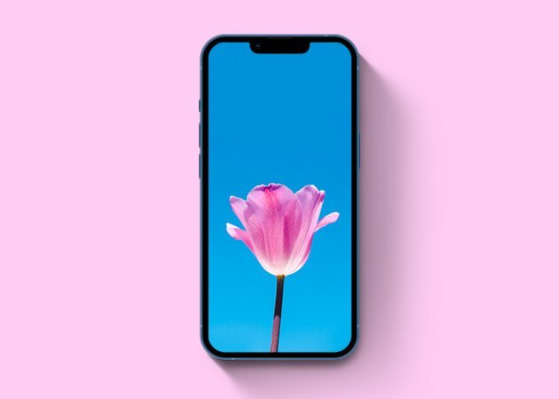 Hình nền hoa tulip mùa xuân cho iPhone