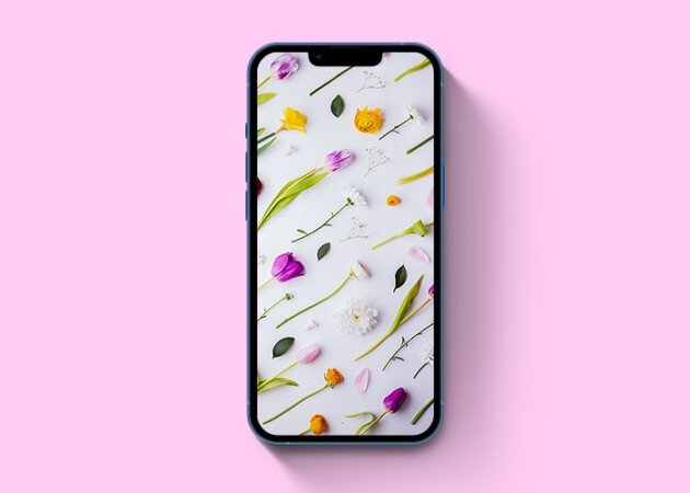Những bông hoa mùa xuân Hình Nền iPhone